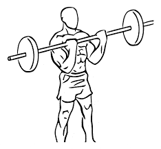 STANDING BARBELL BICEP CURL