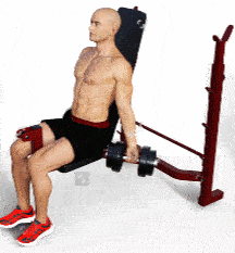  INCLINE BENCH DUMBBELL CURLS