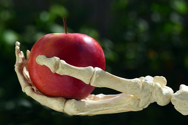 apple on bone set