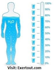 Body water content