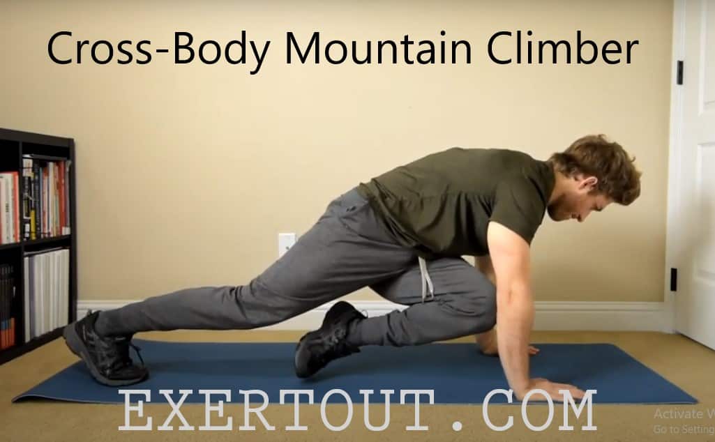 Cross-Body Mountain Climber Exercise For Beginners!