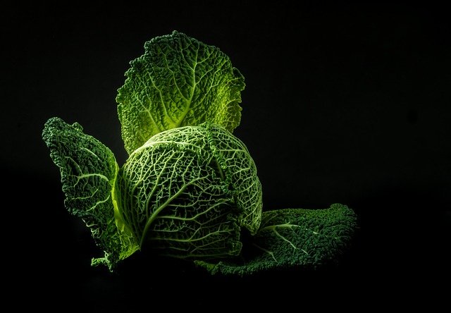 Cabbage Vegetables low in Oxalates