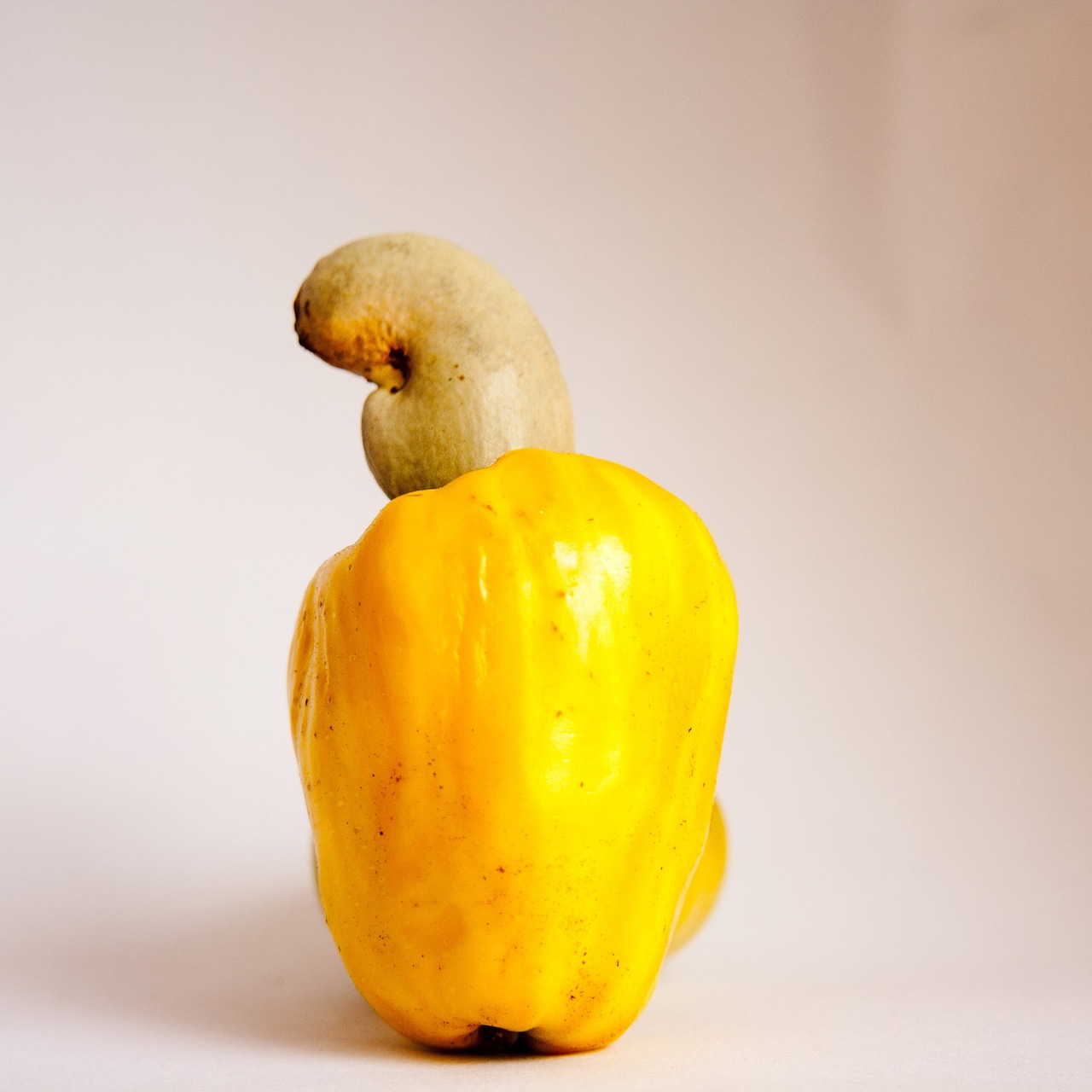 Discover the 10 Amazing Benefits of Cashew Fruit